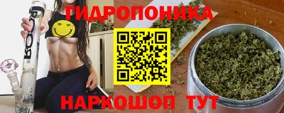 гашик Бузулук